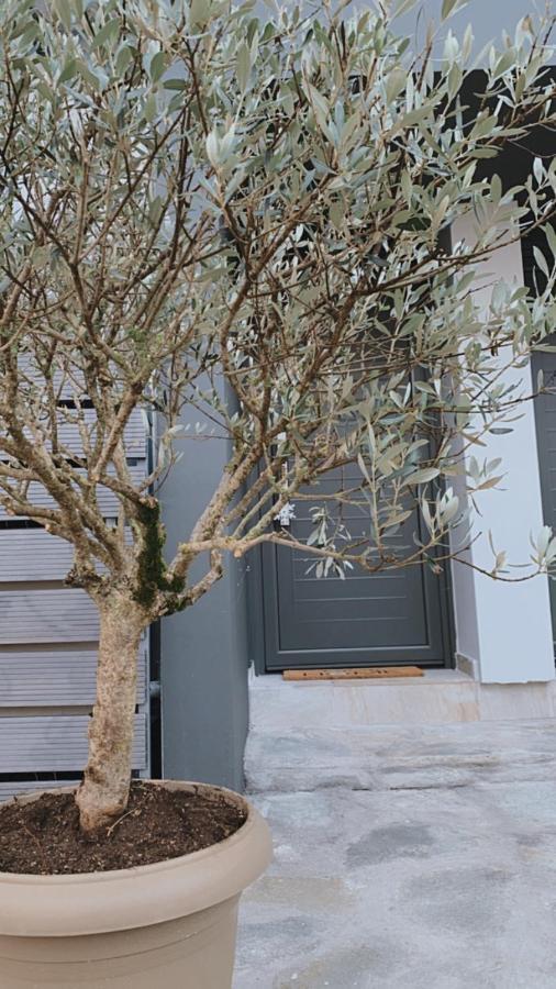 My Home Ioannina Bagian luar foto